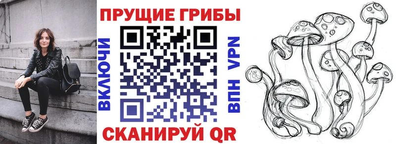Псилоцибиновые грибы Psilocybine cubensis  Купить закладки  Белоярский 